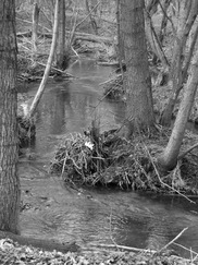limburg_182x243_9795.jpg