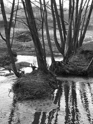 limburg_182x243_9796.jpg