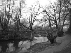 limburg_243x182_0044.jpg