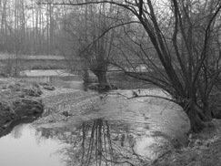 limburg_243x182_0094.jpg