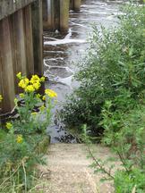 markdal_162x216_004.jpg