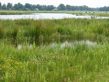 markdal_216x162_014.jpg
