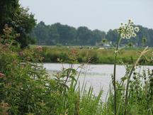 markdal_216x162_051.jpg