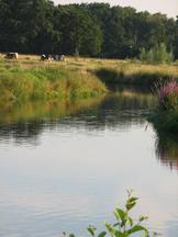 markdal_162x216_033.jpg