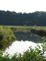 markdal_162x216_038.jpg