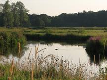 markdal_216x162_036.jpg