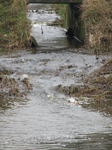 utrecht_162x216_019.jpg