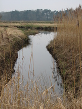 utrecht_162x216_047.jpg