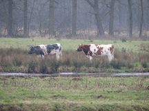 utrecht_216x162_041.jpg