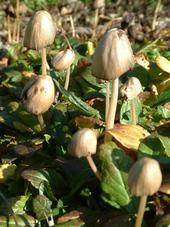 paddoos_170x227_060.jpg