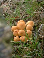 paddoos_170x227_079.jpg