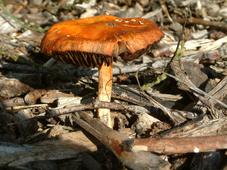 paddoos_227x170_059.jpg