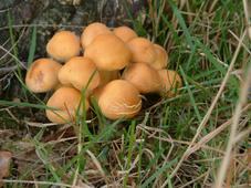 paddoos_227x170_077.jpg