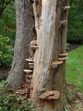 paddoos_170x227_047.jpg