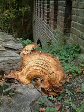 paddoos_170x227_053.jpg
