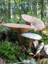 paddoos_162x216_016.jpg
