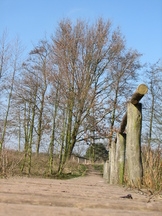 pannenhoef_162x216_072.jpg