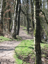 pannenhoef_162x216_080.jpg
