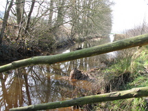 pannenhoef_216x162_062.jpg