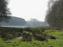 pannenhoef_216x162_074.jpg