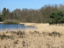 pannenhoef_216x162_085.jpg