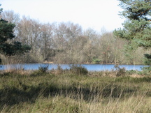 pannenhoef_216x162_087.jpg