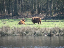 pannenhoef_216x162_095.jpg