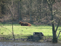 pannenhoef_216x162_096.jpg