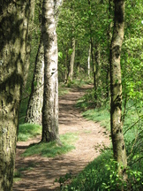 pannenhoef_162x216_005.jpg
