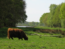 pannenhoef_216x162_002.jpg