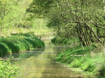 pannenhoef_216x162_004.jpg