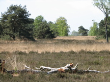 pannenhoef_216x162_007.jpg