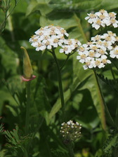 plougoumelen_168x224_4020.jpg
