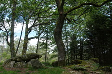 plougoumelen_224x168_3941_2_3_4_5.jpg