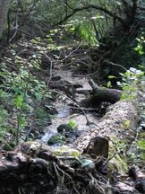 schotland_162x216_063.jpg