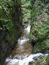 schotland_162x216_066.jpg