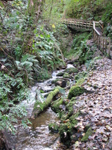 schotland_162x216_067.jpg