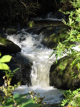 schotland_162x216_113.jpg