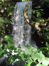schotland_162x216_115.jpg