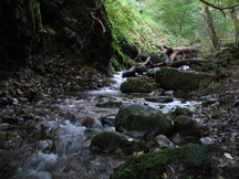 schotland_216x162_064.jpg