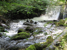 schotland_216x162_111.jpg