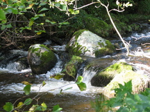 schotland_216x162_112.jpg
