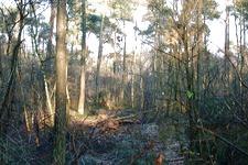 strijen_225x150_005.jpg