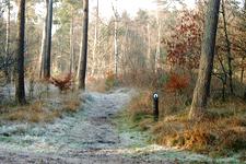strijen_225x150_008.jpg