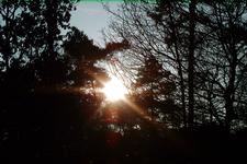 strijen_225x150_009.jpg