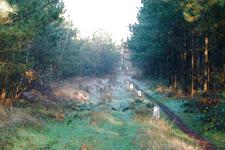 strijen_225x150_010.jpg