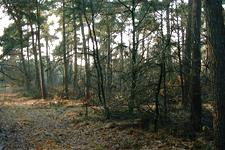 strijen_225x150_012.jpg