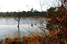 strijen_225x150_016.jpg
