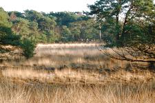 strijen_225x150_020.jpg