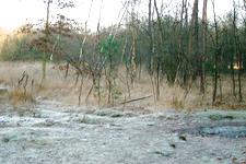 strijen_225x150_021.jpg